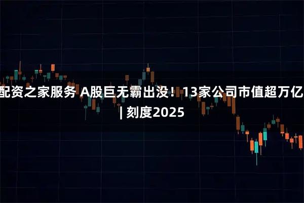配资之家服务 A股巨无霸出没！13家公司市值超万亿 | 刻度2025