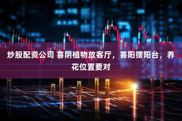 炒股配资公司 喜阴植物放客厅，喜阳摆阳台，养花位置要对