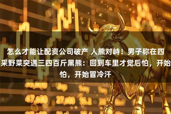 怎么才能让配资公司破产 人熊对峙！男子称在四川理县采野菜突遇三四百斤黑熊：回到车里才觉后怕，开始冒冷汗